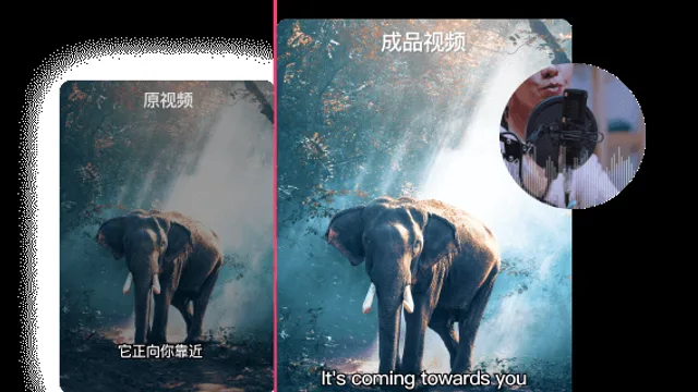 Huiying Subtitles — official product preview