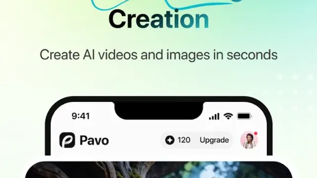Pavo — official product preview